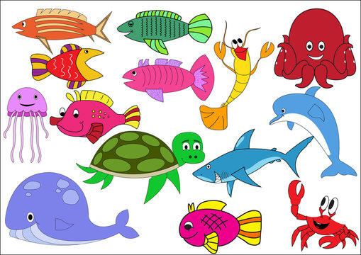 A set of exotic fish on a white background.