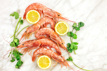 Raw shrimps with slices of lemon, cilantro, and copyspace