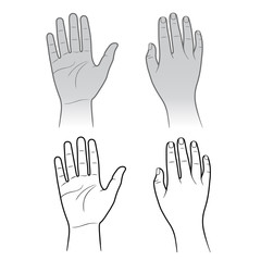 Woman, man hands isolated on white