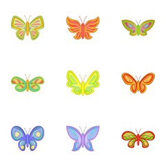 Fototapeta na wymiar Butterfly insect icons set, cartoon style