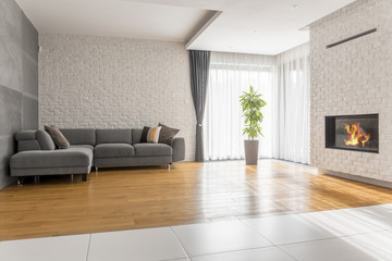 Fancy living room with sofa