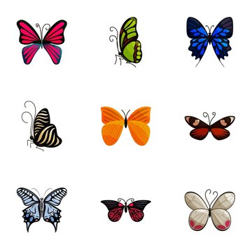 Colorful butterflies icons set, cartoon style