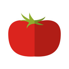 tomato vegetable icon over white background. colorful design. vector illustration