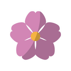beautiful flower icon over white background. colorful design. vector illustration