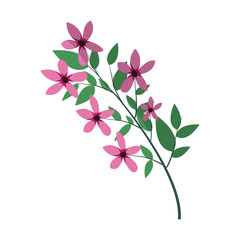 beautiful flowers and leaves icon over white background. colorful design. vector illustration