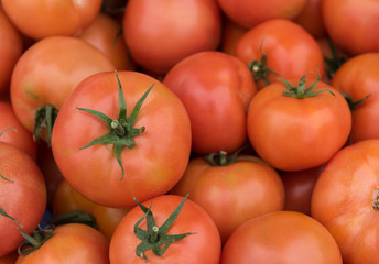 Fresh red healthy  tomatoes
