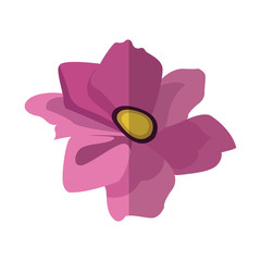 beautiful flower icon over white background. colorful design. vector illustration