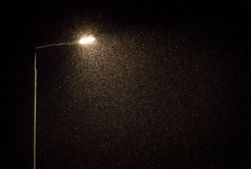 Street lamp and falling snow