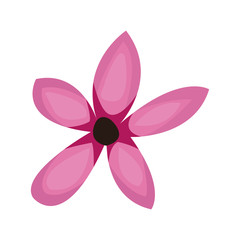 beautiful flower icon over white background. colorful design. vector illustration