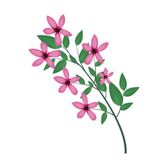 beautiful flowers and leaves icon over white background. colorful design. vector illustration