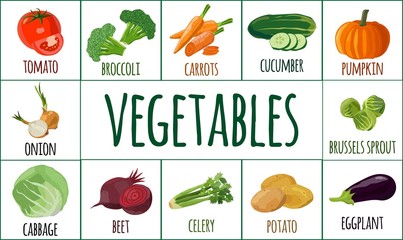 Vegetables. Cards for Your design. Vector illustration