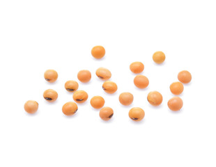 Soybeans isolate on white background.