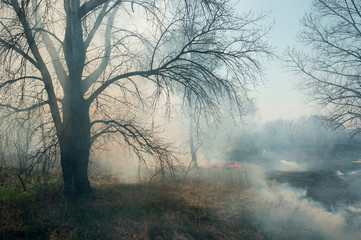 steppe fire wall of smoke