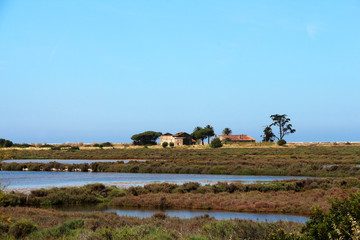 Salt pans in Hyères - France