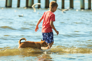 Boy playing with his dog.