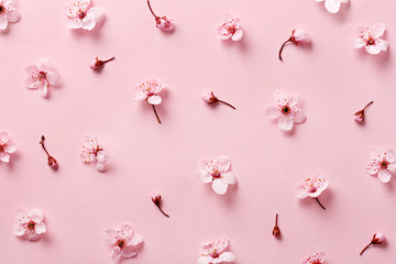 Fototapeta premium Flower blossom pattern on pink background. Top view