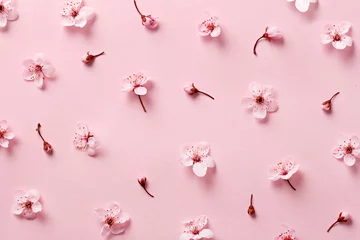 Foto op Plexiglas Flower blossom pattern on pink background. Top view © virtustudio