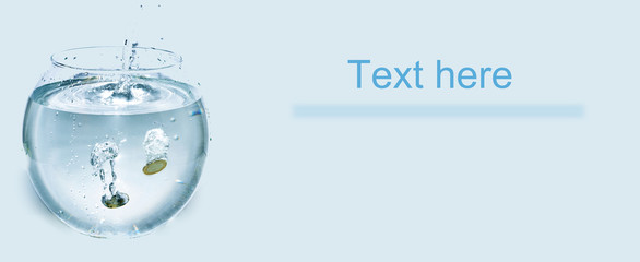 Euro coins in aquarium with water.