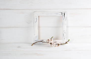 Decorated frame and apricot flowers in home interior