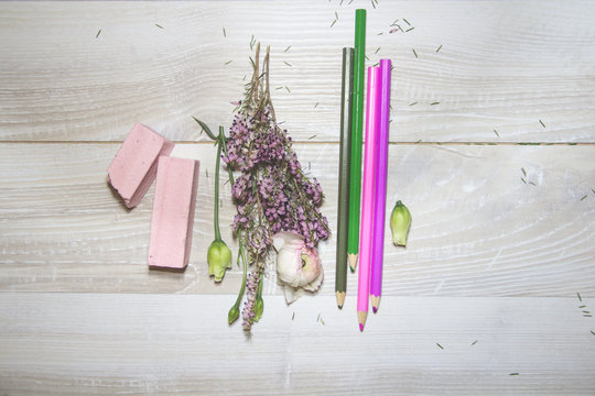 Sweet and tasty pastille, pink and green flowers and colorful pencils
