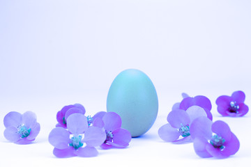 blue easter egg between purple flowers