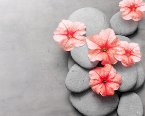 Spa concept with flower and zen stones