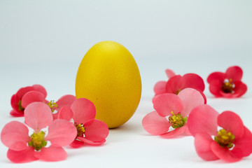 golden easter egg between pink flowers