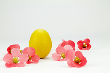 yellow easter egg between pink flowers isolated on white