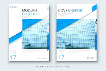 Corporate business annual report cover, brochure or flyer design. Leaflet presentation. Catalog with Abstract geometric background. Modern publication poster magazine, layout, template. A4 size