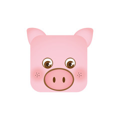 cute pig animal head expression, vector illustration