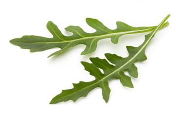 Close up studio shot of green fresh rucola isolated on white background.