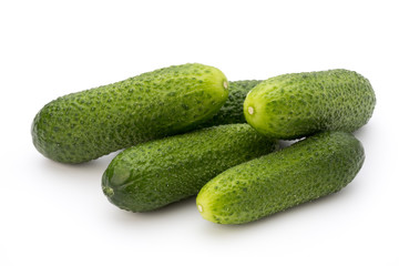 The first spring ecologically cucumbers.