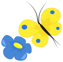 Butterfly and flower