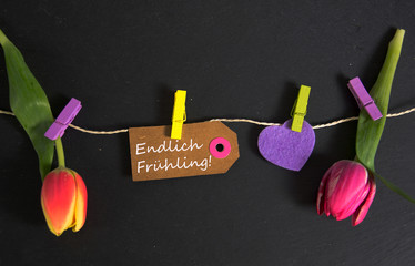 Frühlingsgrüße