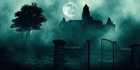 Foto auf Glas .Horror halloween haunted house in creepy night forest.  © Dark Illusion