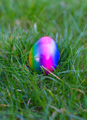 Colorful egg in the grass,