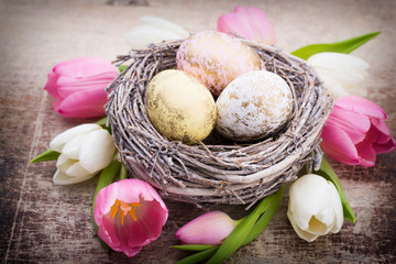 Easter eggs in the nest und tulip. Gray background.