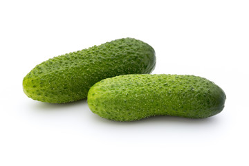 The first spring ecologically cucumbers.