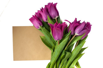 blank greeting card and envelope with purple tulips over white isolated background