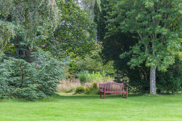 a bench in a garden with green trees and grass