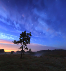 Fototapeta na wymiar Blue starry sky over misty meadow at twilight