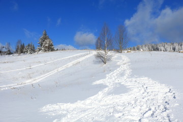 A snowy winter scene