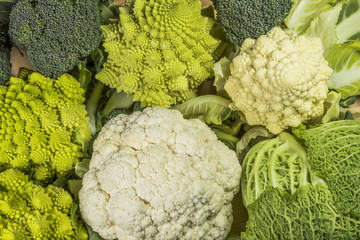  varieties of vegetables: savoy green cabbage, broccoli, roman and white cauliflower