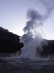 Fototapeta na wymiar geyser gush spring steam El Tatio Chile