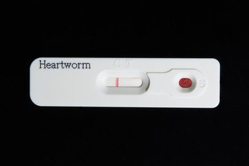 Heartworm test. A negative test result. A blood sample is placed in the sample well. One colored...