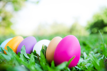 Easter eggs on green grass. Spring holidays concept