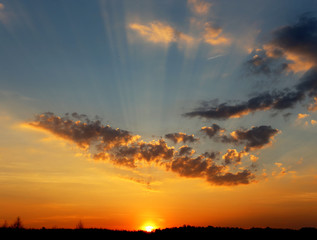 Sunset over the field