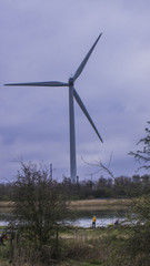 Wind Turbine