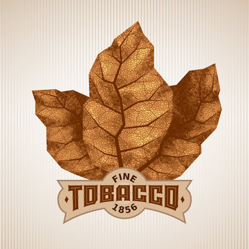 Three Dry Tobacco Leaves With Label