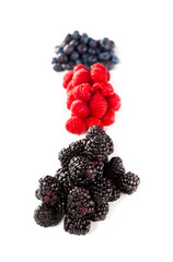 Assortment of forest fruits, rasperries, blueberries and blackberries